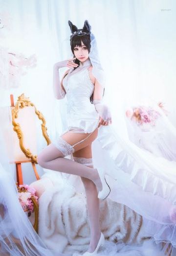 猫女的诅咒在线观看_高清免费高清观看