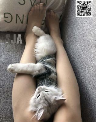 成品短视频app下载有哪些软件_剧情片在线播放