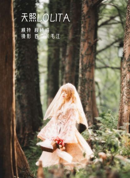 《狙击手》在线观看_影视大全在线观看